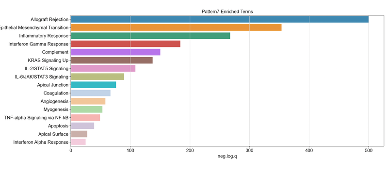 Pattern 7 Enriched Terms